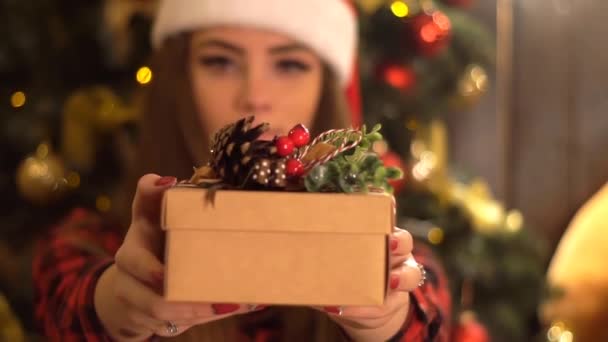 Petite Amie Vous Donne Cadeau Noël — Video