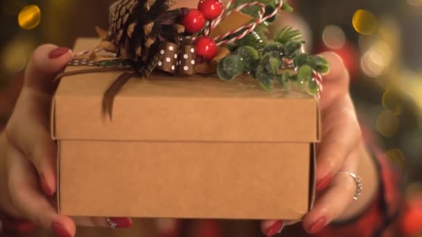 Fille Tient Cadeau Noël Magnifiquement Emballé — Video