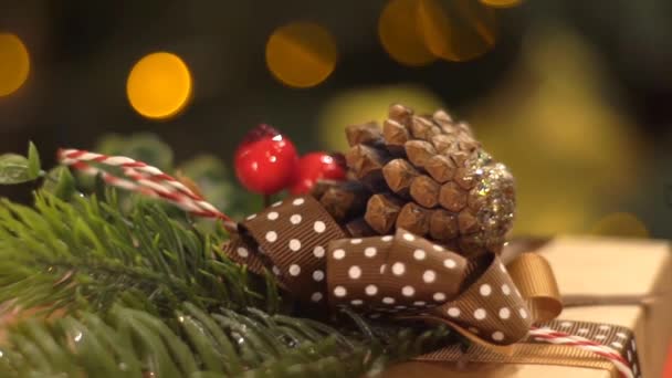 Χριστουγεννιάτικο Δώρο Και Χόλι — Αρχείο Βίντεο