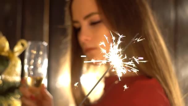 Mujer Celebrando Navidad Año Nuevo Con Copa Champán — Vídeo de stock