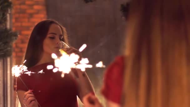 Portrait Jeune Femme Avec Verre Vin Célébration Noël Messe Noël — Video