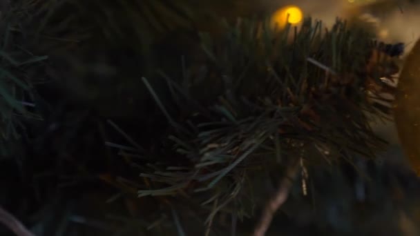 Διακόσμηση Μπάλα Ένα Πράσινο Χριστουγεννιάτικο Δέντρο — Αρχείο Βίντεο