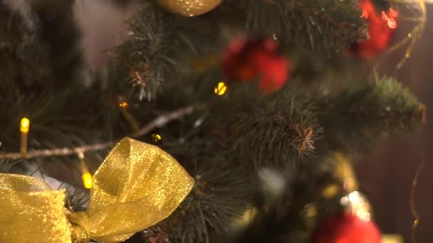 Рождественская Ель Украшена Новогодним Балом — стоковое видео