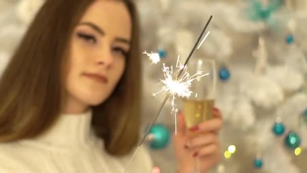 Vacker Kvinna Santa Hatt Med Champagne Glas — Stockvideo