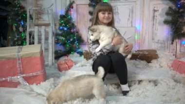 Sibiryalı Husky Puppy ile eğlenen neşeli küçük bir kızın portresi.