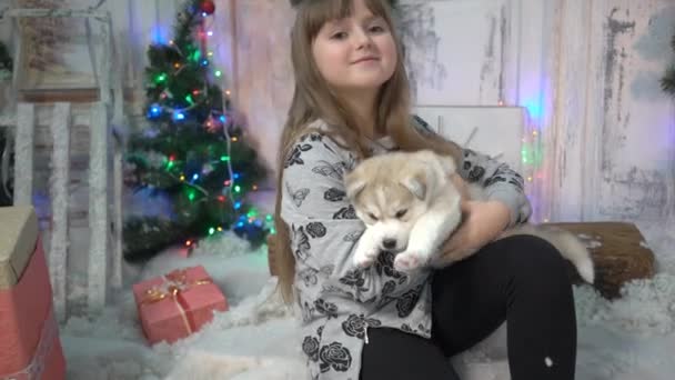 Closeup Retrato Menina Feliz Husky Filhote Cachorro Com Olhos Azuis — Vídeo de Stock