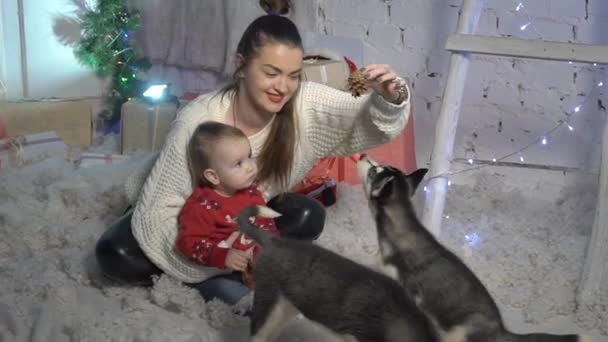 Gezellige Winter Kerstvakantie Concept Vrouw Hond Ontspannen Thuis — Stockvideo