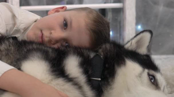 Portrait Petit Garçon Joyeux Amusant Avec Husky Chiot Sibérien Sur — Video