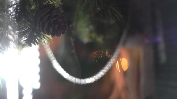 Κλάδος Χριστουγεννιάτικου Δέντρου Νέο Έτος — Αρχείο Βίντεο