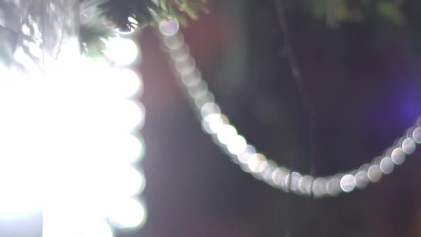 圣诞树和锥体的分支 — 图库视频影像