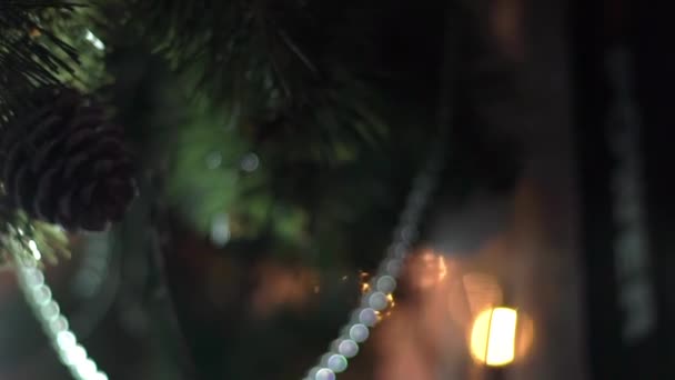 Çok Güzel Bulanık Bir Arkaplanda Bir Noel Ağacının Dalları — Stok video