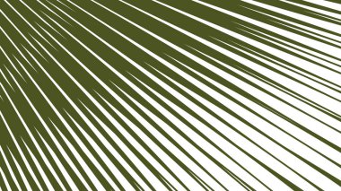 Yeşil Ordu Çizgili Çizgi Çizgisi Soyut Arka plan Modern Askeri Desen Doku Minimum Vektör Tasarımı
