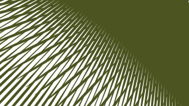 Yeşil Ordu Çizgili Çizgi Çizgisi Soyut Arka plan Modern Askeri Desen Doku Minimum Vektör Tasarımı