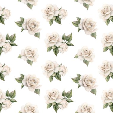 Yapraklı beyaz güller. Suluboya el boyası Viktorya dönemi çiçeksiz deseni. Beyaz arka planda kırsal bahçe çiçekleri.