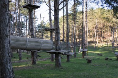 Ormandaki macera parkı