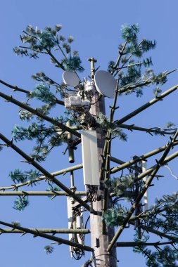 Telefon anteni kamufle