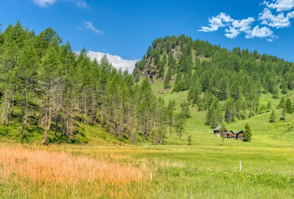 Zielona Alpejska Dolina Letni Dzień — Zdjęcie stockowe