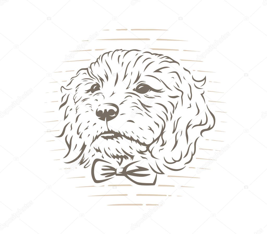 Cute cockapoo dog puppy with bow-tie vector illustration on white background.