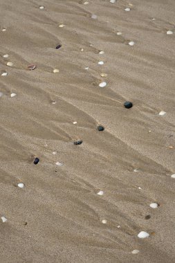 Çakıl taşları ve gelgit suları ile yarattıkları dalga çizgileri kumlu bir sahilde üzerlerinden akıyor.