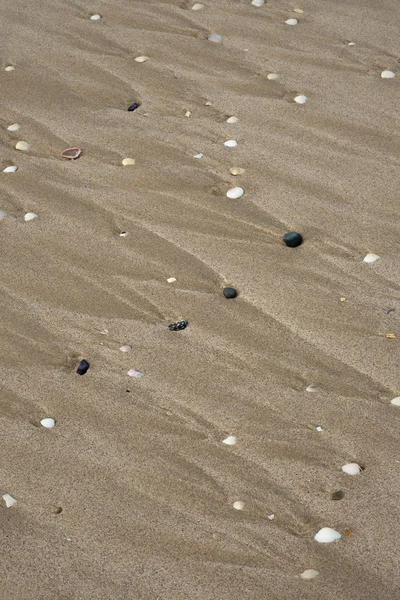 Çakıl taşları ve gelgit suları ile yarattıkları dalga çizgileri kumlu bir sahilde üzerlerinden akıyor.