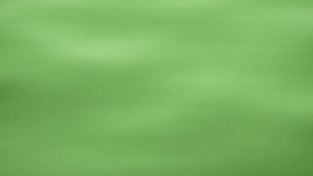 Sfondo Variegato Verde Soft Focus Stile Natalizio Verde — Video Stock