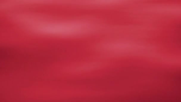 柔和的焦点红色斑叶背景 圣诞节风格红色 — 图库视频影像