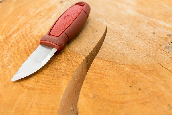 Cuchillo Desollado Con Venado Eviscerar Juego Aliso Fondo Madera — Foto de Stock