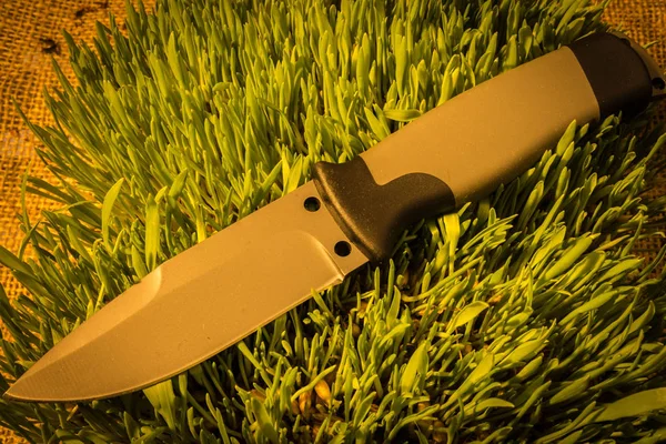 Неподвижный Нож Траве Диагональное Положение Close — стоковое фото