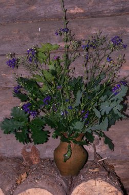 Bir buket ile pota. Kırsal floristics. Rustik natürmort.