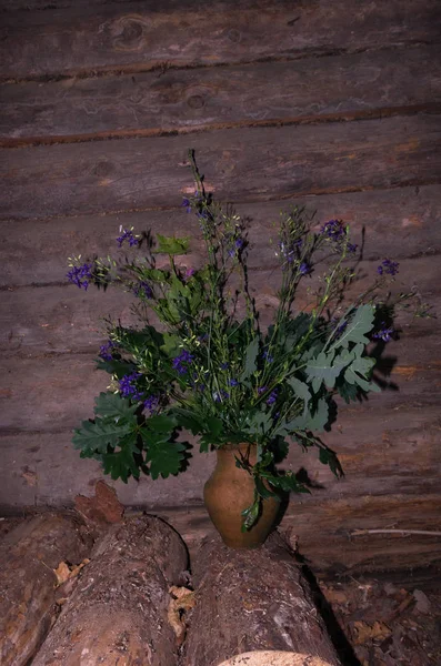 Mazzo di foresta. Bouquet in un vaso di argilla. Floricoltura . — Foto Stock