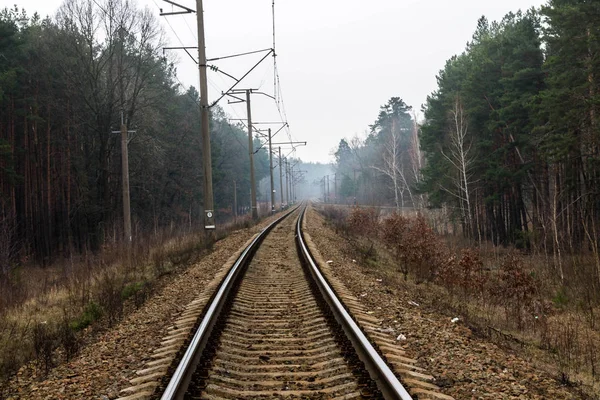 Railway track in the forest. The road leading deep into the forest.