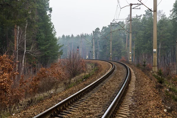 Κομμάτια Στρίψτε Αριστερά Σιδηροδρομική Γραμμή Στο Δάσος — Φωτογραφία Αρχείου