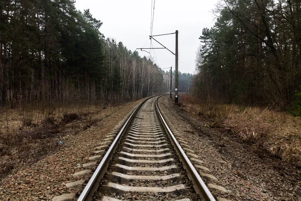 Κομμάτια Στρίψτε Δεξιά Σιδηροδρομική Γραμμή Στο Δάσος — Φωτογραφία Αρχείου