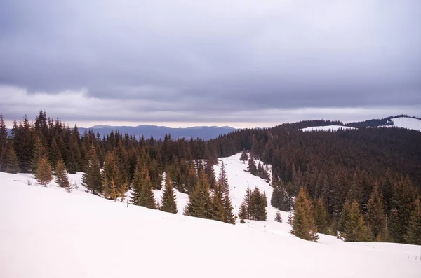 山の範囲 冬の山 山の森林 山と空 — ストック写真
