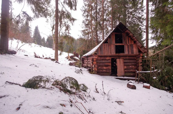 Ρίξει Ένα Δάσος Σπίτι Αποτελείται Από Ξύλινο Σπίτι Σταδιοποίηση Post — Φωτογραφία Αρχείου