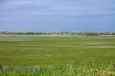 Küçük göller ile uzun yeşil alan. Uzun ufuk. Çerçeve ikiye ayrılmıştır. Ufuk merkezidir. Manzara.