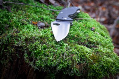Knif yosun üzerinde fotoğrafı katlanmış. Bıçak günlük kullanım. EDC.
