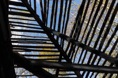 Ağaçların arasından net. Görünümü olacak. Gökyüzü. Ağaçlar Sonbahar