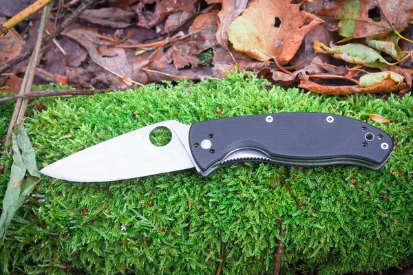 Folding Pocket Knife Photographed Forest Knife Everyday Use — Stock Photo, Image