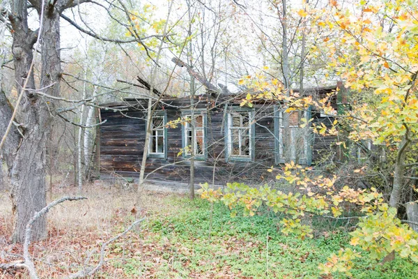 Abandonada Casa Velha Floresta Selvagem — Fotografia de Stock