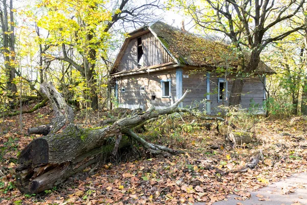 Opuszczony Stary Dom Dzikim Lesie — Zdjęcie stockowe