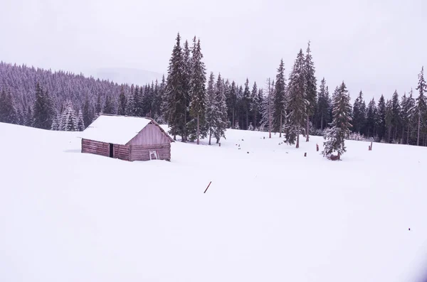 Casa coberta de neve nas montanhas. Cabana em um prado de montanha . — Fotografia de Stock