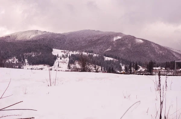 Paisagem Montanha Yaremche Cárpatos Ucrânia Paisagem Inverno Montanhas — Fotografia de Stock