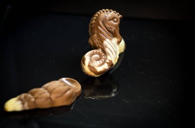 Belçika çikolata. Deniz yaşamı. Çikolata siyah bir arka plan. Güzel kokulu şekerler.