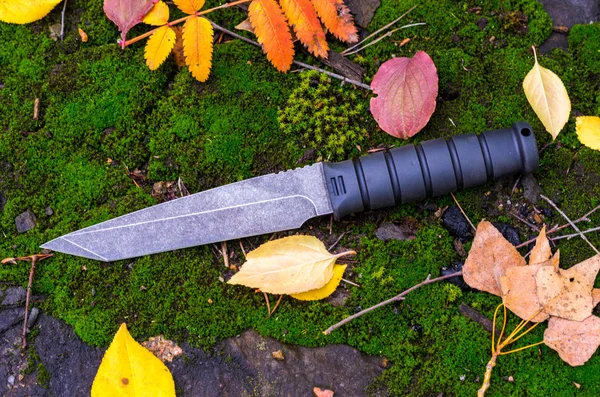 Нож Военных Операций Осень Оружие — стоковое фото
