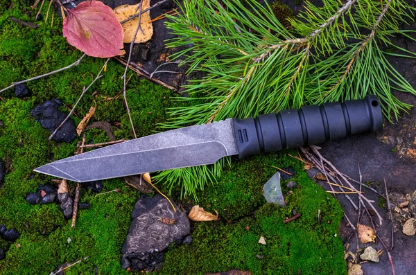 Black tactical knife on a spruce branch. Military autumn.