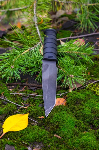 Black tactical knife on a spruce branch. Vertical shot. Fall in the forest.