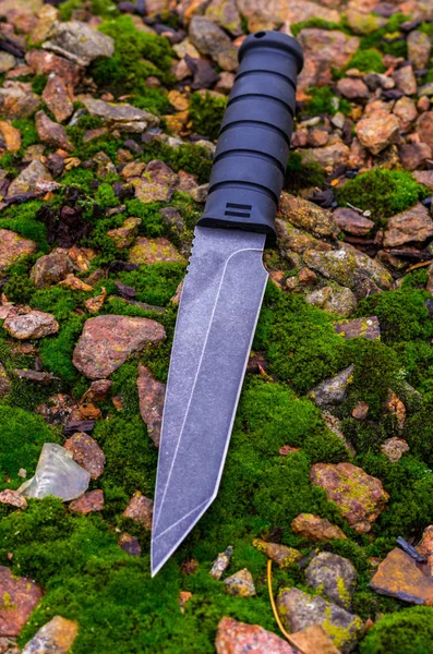 Cuchillo Negro Sobre Musgo Verde Composición Otoño Piedras Musgo —  Fotos de Stock