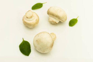 Beyaz bir arka plan üzerinde Fesleğenli üç petrol. Soğuk ruh hali. Beyaz bir arka plan üzerinde beyaz mantar.