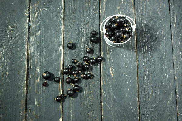 White Bucket Black Background Berries Currant Bucket — Stock Photo, Image